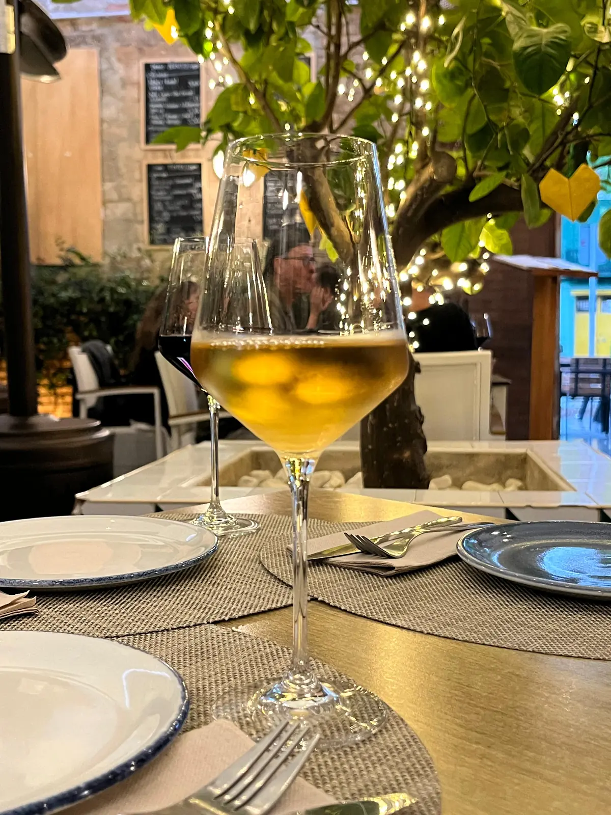 Glass of white wine in the patio